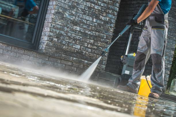 Best Warehouse Cleaning  in Waverly, VA