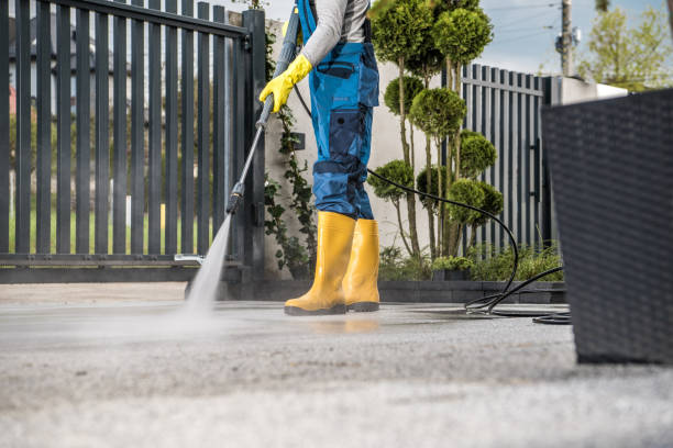 Trusted Waverly, VA Pressure Washing Services Experts