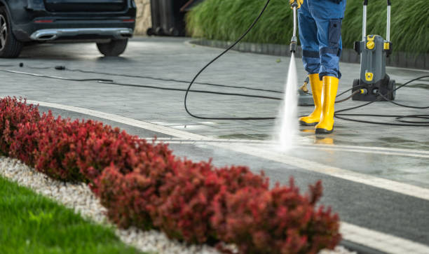 Best Driveway Pressure Washing  in Waverly, VA